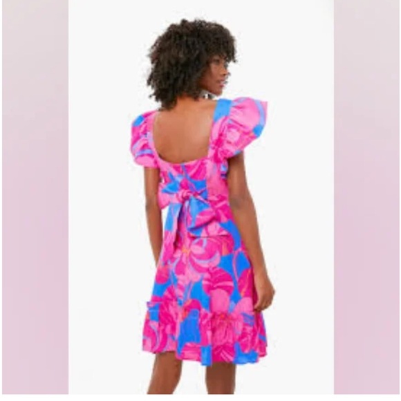 Tuckernuck x Cameron Eubanks Wimberly Wild Azalea Edisto Dress NWT - Picture 2 of 7